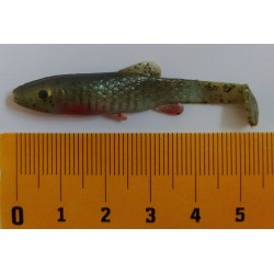 Střevle 5,5 cm. samec ve...